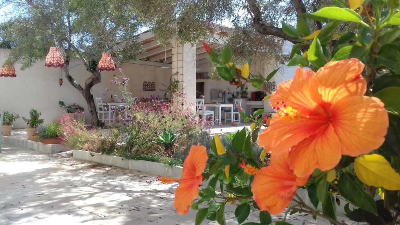 The Proud Garden Acomodação com café da manhã Carovigno Exterior foto